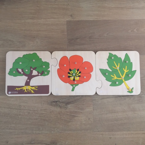 puzzles botanique montessori