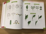 livre botanique nomenclature feuilles